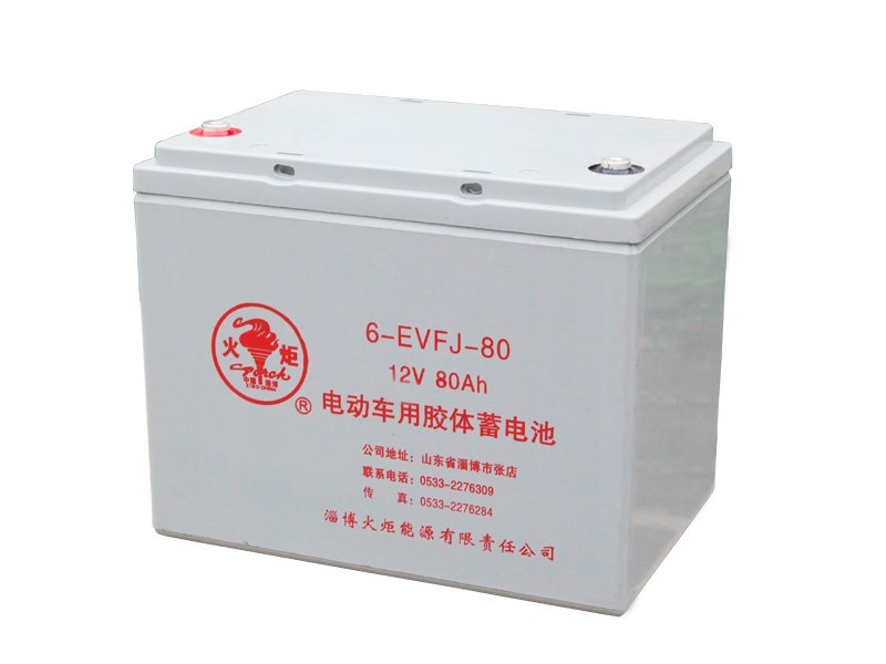 6-EVFJ-80